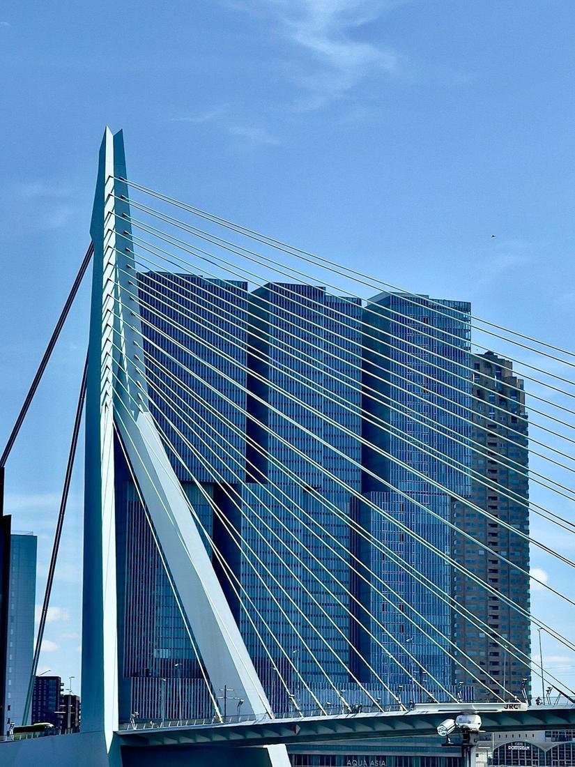 Rotterdam, Netherlands skyline — web design and development services